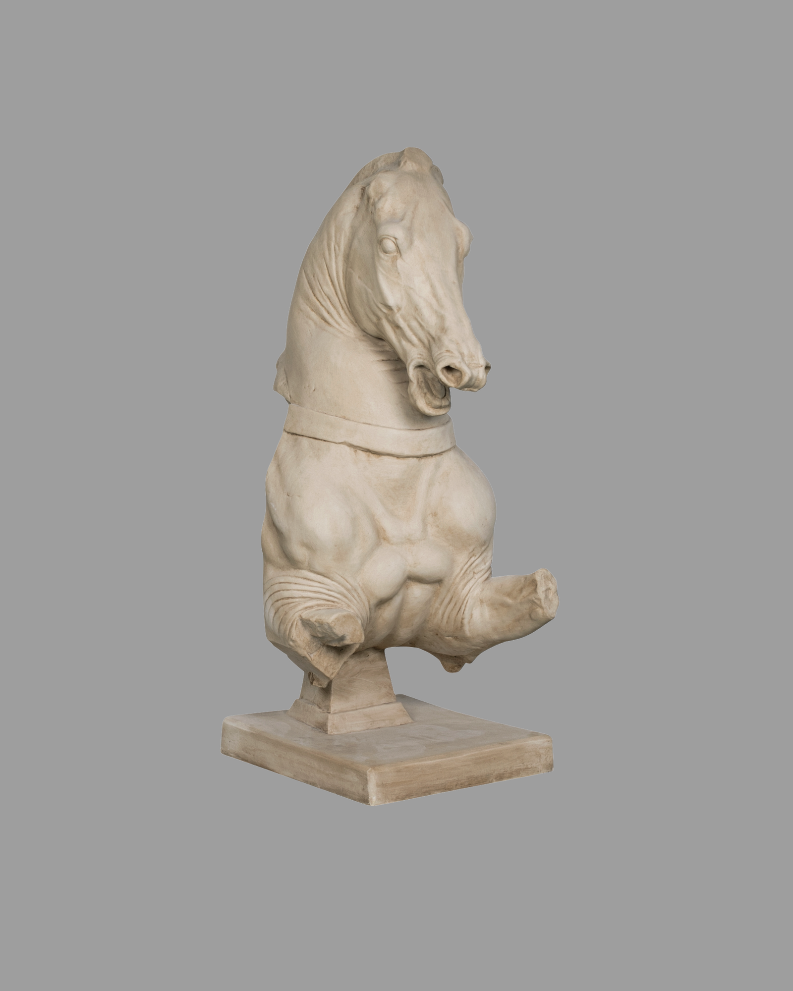 Torso de caballo