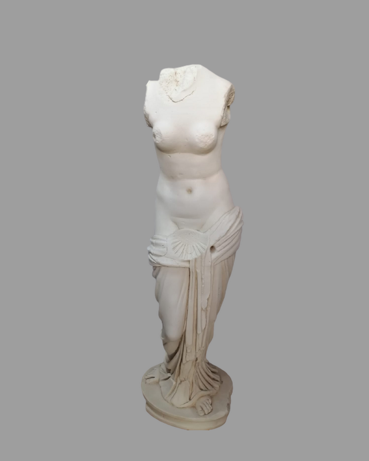 Venus de la concha