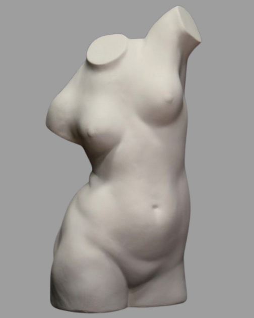 Torso femenino en escorzo